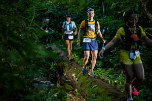 BIB: 1526
                            <button type="button" onclick="openModal(18921889)" class="btn btn-primary btn-sm float-right btn-popup" data-toggle="modal" data-target=".modal-high-quality">
                        <i class="fas fa-shopping-cart"></i> Add to Cart
                    </button>
                                            <button type="button" onclick="isThisMe(18921889, true)" class="btn btn-success btn-sm float-right btn-popup btn-isme hidden" data-toggle="tooltip" data-placement="bottom" title="นี่คือรูปของคุณใช่ไหม คลิกที่นี่เพื่อเอาเข้าอัลบั้ม">
                        <i class="fas fa-plus"></i> Add to album
                    </button>
                    <button type="button" onclick="isThisMe(18921889, false)" class="btn btn-warning btn-sm float-right btn-popup btn-isnotme hidden">
                        <i class="fas fa-ban"></i> Remove from album
                    </button>